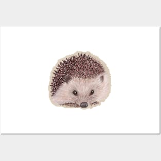 Hedgehog Posters and Art